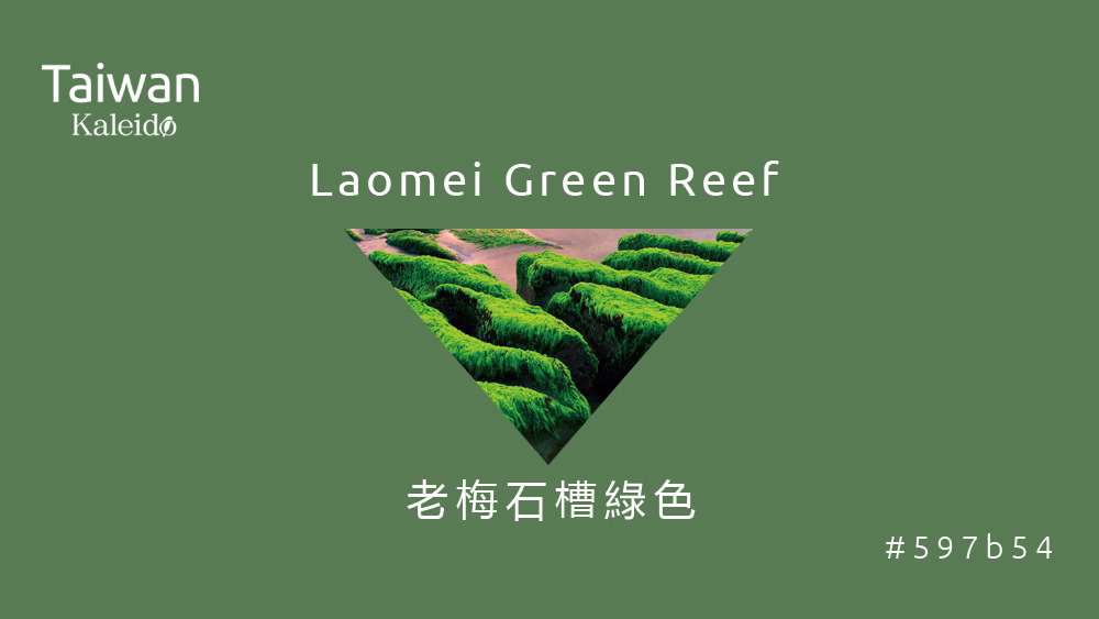 本週精選：老梅石槽綠色  Laomei Green Reef  #597b54